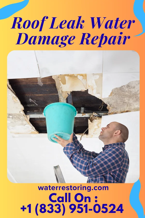 Roof Leak Water Damage Repair in Bluff, UT